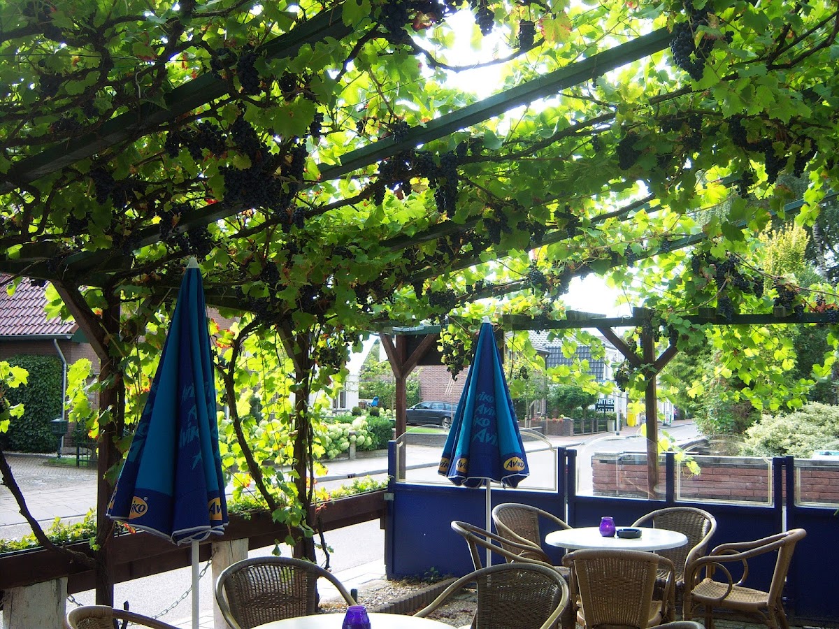 Carola's Cafetaria - 1